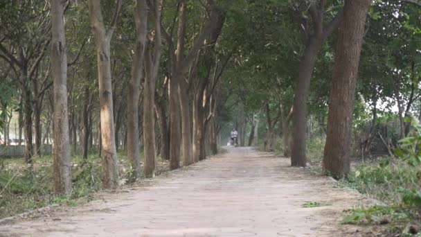 Woman Jogging Outdoors Slow Motion Video — Vídeo de Stock