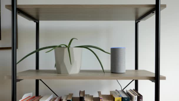 Voice Activated Smart Home Device Next Aloe Vera Lights Στατική — Αρχείο Βίντεο