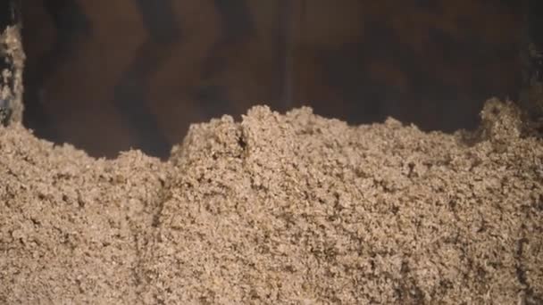 Steaming Malt Mash Out Beer Brewing Process Brewery — Vídeo de Stock