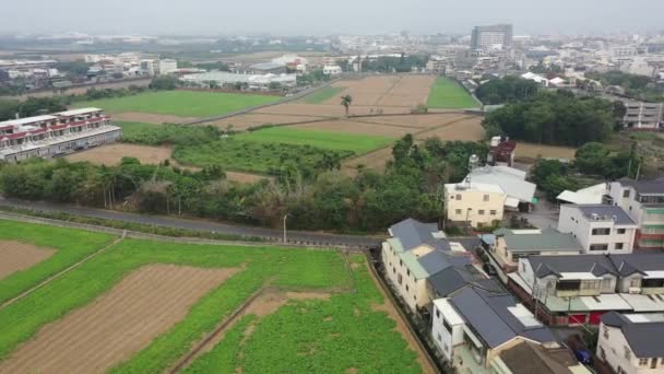 Aerial Drone Footage Flying Green Rice Paddy Field Agriculture City — Vídeo de stock