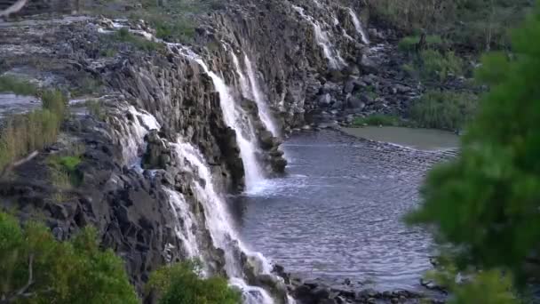 Vodopád Hopkins Falls Scénická Rezerva Cudgee Victoria Austrálie Atrakce Great — Stock video
