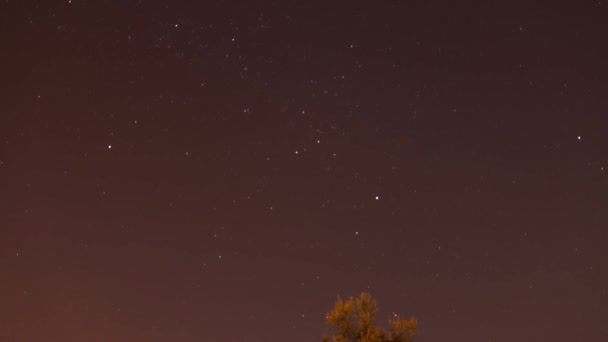 Noche Lapso Tiempo Del Cielo Claro Estrella Noche — Vídeos de Stock