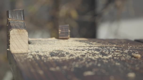 Slow Motion Man Blowing Sawdust Camera — Stockvideo