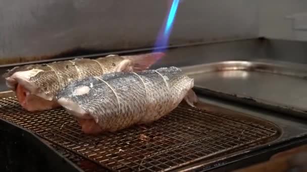 Professional Chef Using Blow Torch Seared Fish Cooking Fish Roulade — Stok video