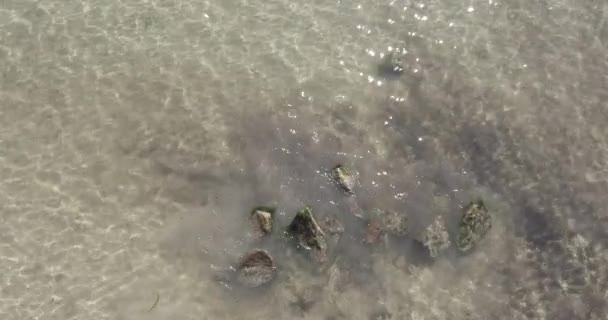 Прогулка Воде Уоллару Южная Австралия — стоковое видео