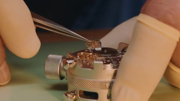 Hands Watchmaker Placing Gear Mechanical Watch Close — Wideo stockowe