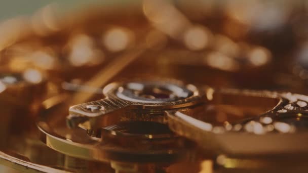 Movement Mechanism Mechanical Gold Watch Macro — Stock video