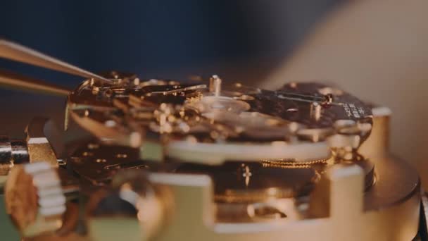 Watchmaker Assembling Putting Back Place Piece Mechanism Mechanical Watch Tweezers — Stock Video
