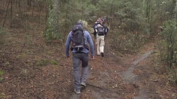 Grupp Turister Vandring Och Klättring Till Toppen Pinal Vulkaniska Berget — Stockvideo