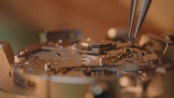 Watchmaker Screw Assemble Mechanical Watch Workshop Macro — Stock Video