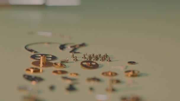 Watchmaker Picking Tiny Screws Together Other Parts Mechanical Watch Table — Video
