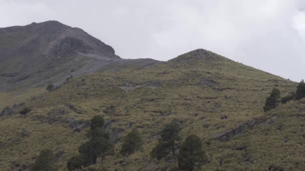 Turistická Stezka Vedoucí Vrchol Sopečné Hory Iztaccihuatl Mexiku — Stock video