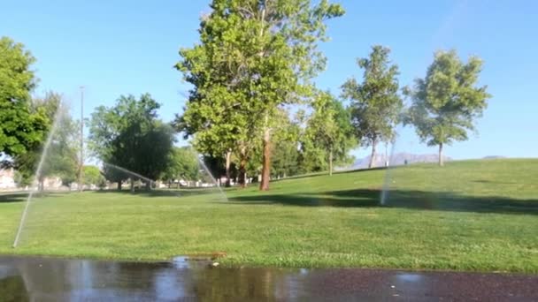 Morning Sprinklers Local Park — Stockvideo