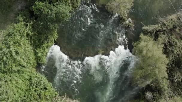 Overhead View River Rapids Nestled Forest Chiapas Mexico — Video Stock