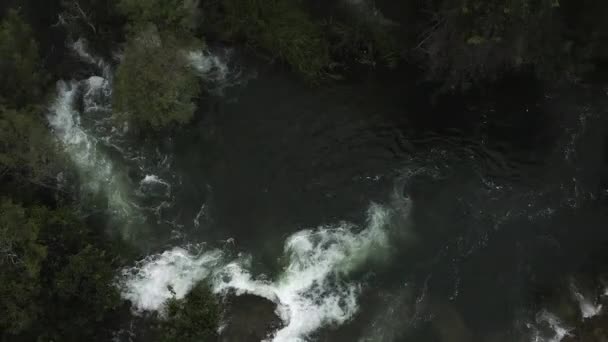 Εναέρια Λήψη Μιας Λίμνης Plunge Τραβώντας Μέχρι Reveal Forest Καταρράκτης — Αρχείο Βίντεο