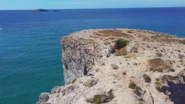 Ειδυλλιακό Θαλασσογραφία Κοντά Στην Παραλία Παπαφράγκας Ένα Από Πιο Εντυπωσιακά — Αρχείο Βίντεο