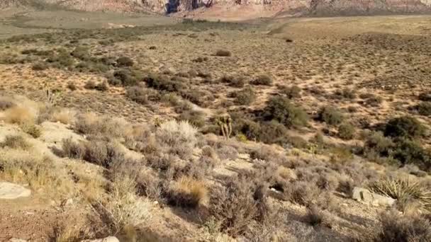 Red Rock Canyon Dramatic Sky Vertical Panorama — Stok video