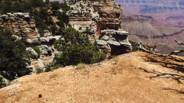 Grand Canyon National Park Vertical Reveal — Vídeo de stock