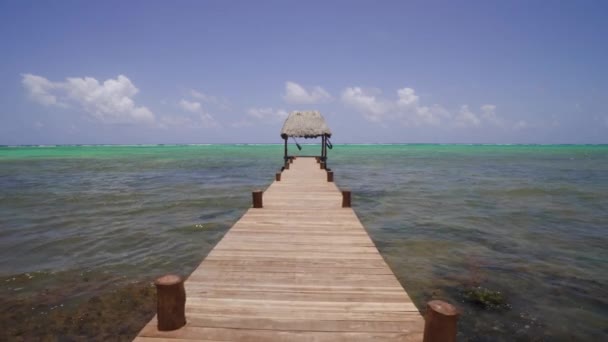 Peaceful Dock Hammock Thatched Canopy Tracking Caribbean Sea – Stock-video