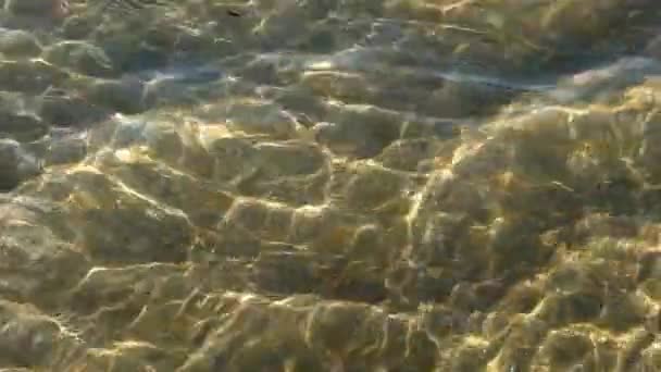 Water Waves Light Patterns Sand — 图库视频影像