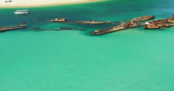 Tourist Dive Site Green Clear Water Moreton Island Wrecks Queensland — Vídeos de Stock