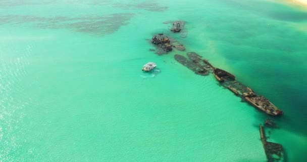 Stunning Clear Green Water Moreton Island Shipwrecks Artificial Reef Dive — Vídeo de Stock