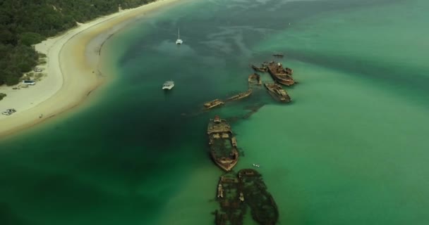 Moreton Island Queensland Australia Artificial Reef Dive Site Clear Water — Stock video