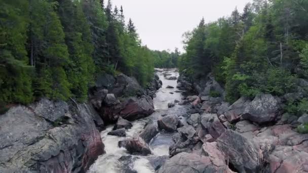Drone Footage Flying Gorge Water Rushing Surrounded Forest Northern Ontario — Stockvideo