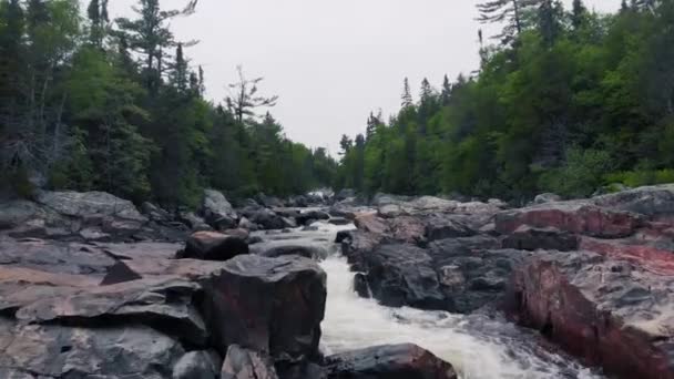 Drone Footage Flying Low Slowly Rushing River Rapids Surrounded Forest — Video