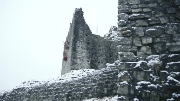 Castelo Arruinado Nevoeiro Branco Inverno — Vídeo de Stock