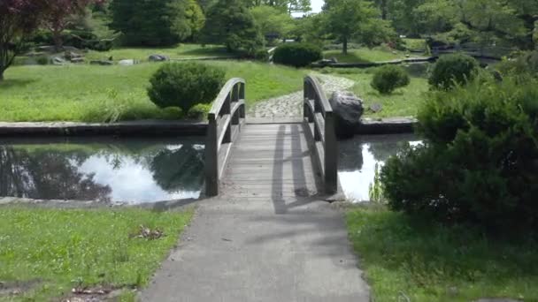 Маленький Вуден Мост Через Пруд Каменными Тротуарами Парке Роджера Уильямса — стоковое видео
