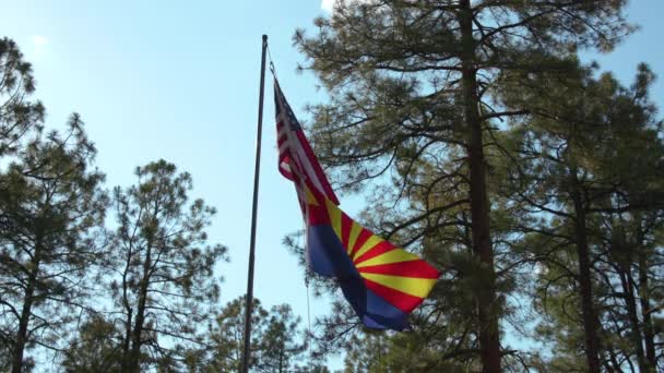 Arizona United States Flags Fly Prescott National Forest — Stockvideo