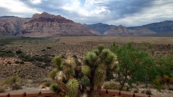 Mountain Panorama Scenic Roadside Stop Las Vegas Nevada — Stock video