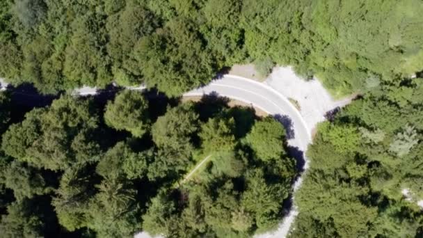 Lot Nad Zielonymi Wierzchołkami Drzew Giętką Drogą Jeżdżącymi Samochodami Niej — Wideo stockowe