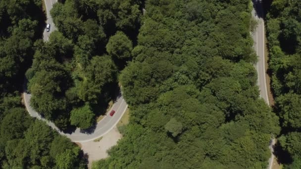 Top Drone Shot Red Car Which Driving Curvy Road Other — Stockvideo