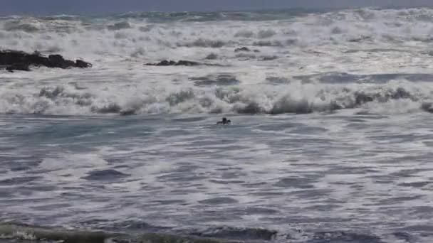 Surfer Catching Paddling Out Rough Waves Bethells Beach Henga Walk — Stockvideo