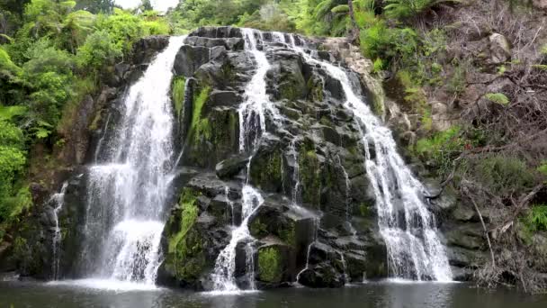 Wide Shot Owharoa Falls Waterfall Karangahake Gorge Coromandel Peninsula North — Stockvideo