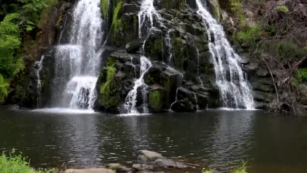 Slow Wide Revealing Shot Owharoa Falls Karangahake Gorge Coromandel Peninsula — Stock video