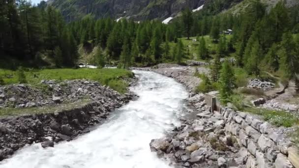 Vista Mozzafiato Fiume Che Scorre Nel Verde Delle Alpi Svizzere — Video Stock