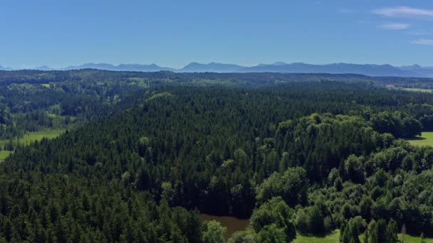 Beautiful Forest Area Wide Drone Shot Little Pond Foreground Alps — Stockvideo