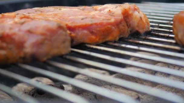 Filetes Cerdo Cocinados Con Carbón Caliente Carne Está Goteando Líquido — Vídeos de Stock