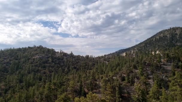 Mountain Top Forest Panorama Mount Charleston Nevada — Stock video