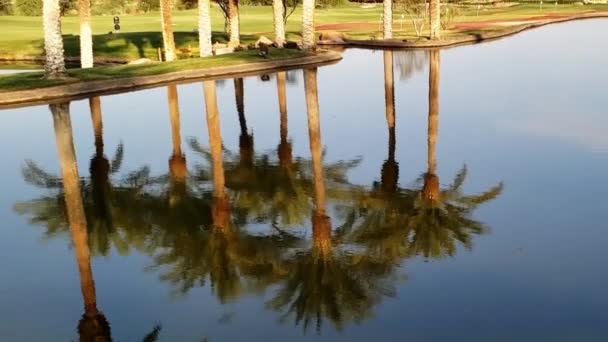 Reflecting Pond Lake Las Vegas Nevada — Stock video