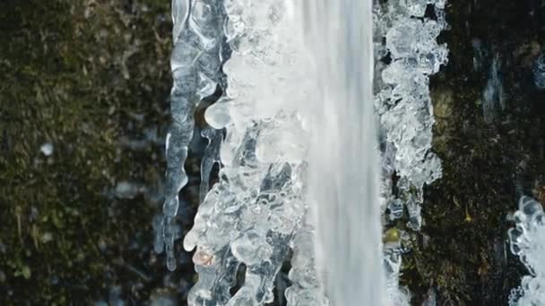 Small Waterfall Front Icicle Frozen River Winter Close Real Time — Stock video