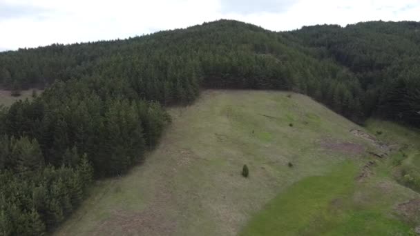 Meadow Fence Forest Village Drone Footage — Wideo stockowe