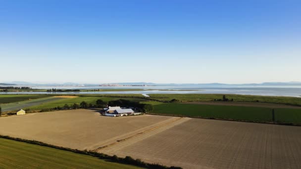 British Columbia Canada Delta Westham Island Nature Trees Winery Farm — Vídeos de Stock