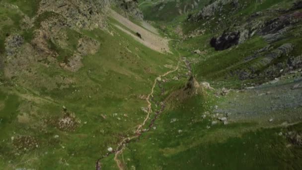 Aerial View Rocky Mountain Path Summer — ストック動画