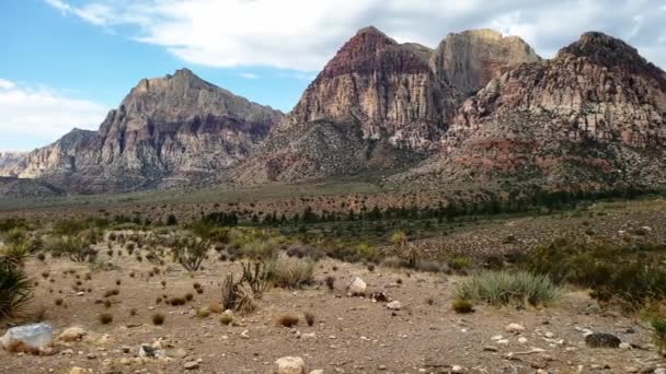 Aire Nationale Conservation Canyon Red Rock Ouest — Video
