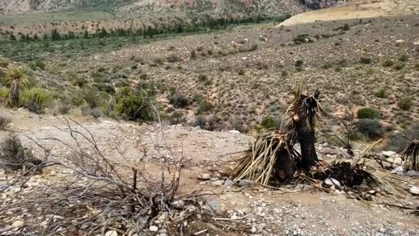 Red Rock Canyon Walls Revealed Blue Summer Sky — Stock video