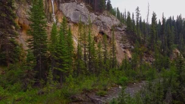 Waterfall Creek Forest Smoke — Vídeos de Stock